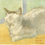 hhp_猫1.jpg