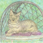 hhp_猫2.jpg