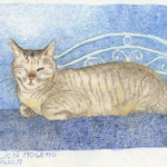 hhp_猫6.jpg