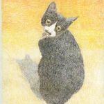 hhp_猫7.jpg