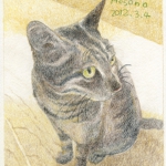 hhp_猫8.jpg