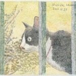 hhp_猫10.jpg