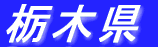 �Ȗ،�